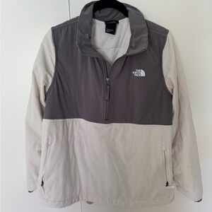 The North Face Mountain Sweatshirt Gray and Cream
